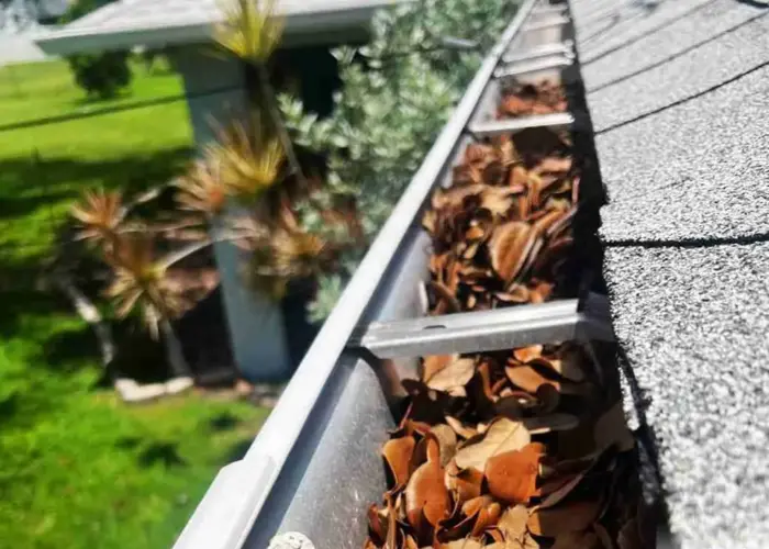 Pickens gutter cleaning home page